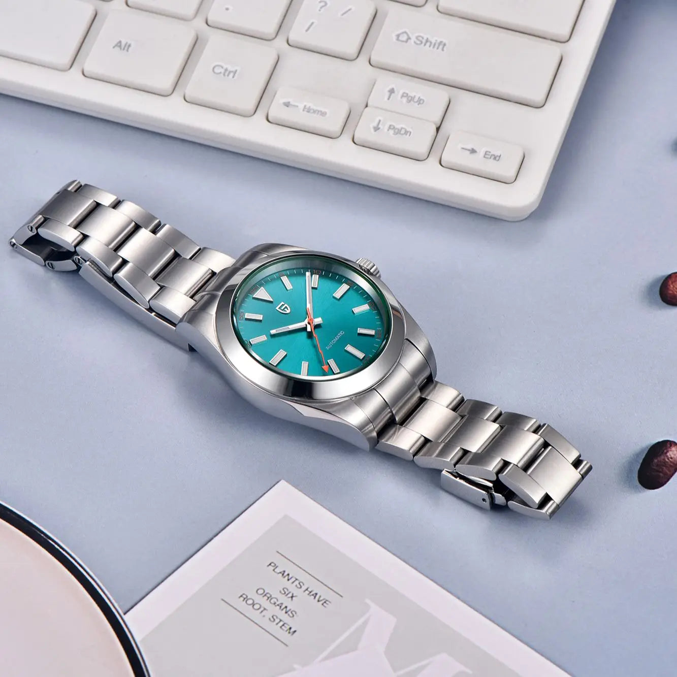 Pagani Design Z-Blue Men's Luxury Automatic Mechanical Watch - Chic & Cheery Shopping