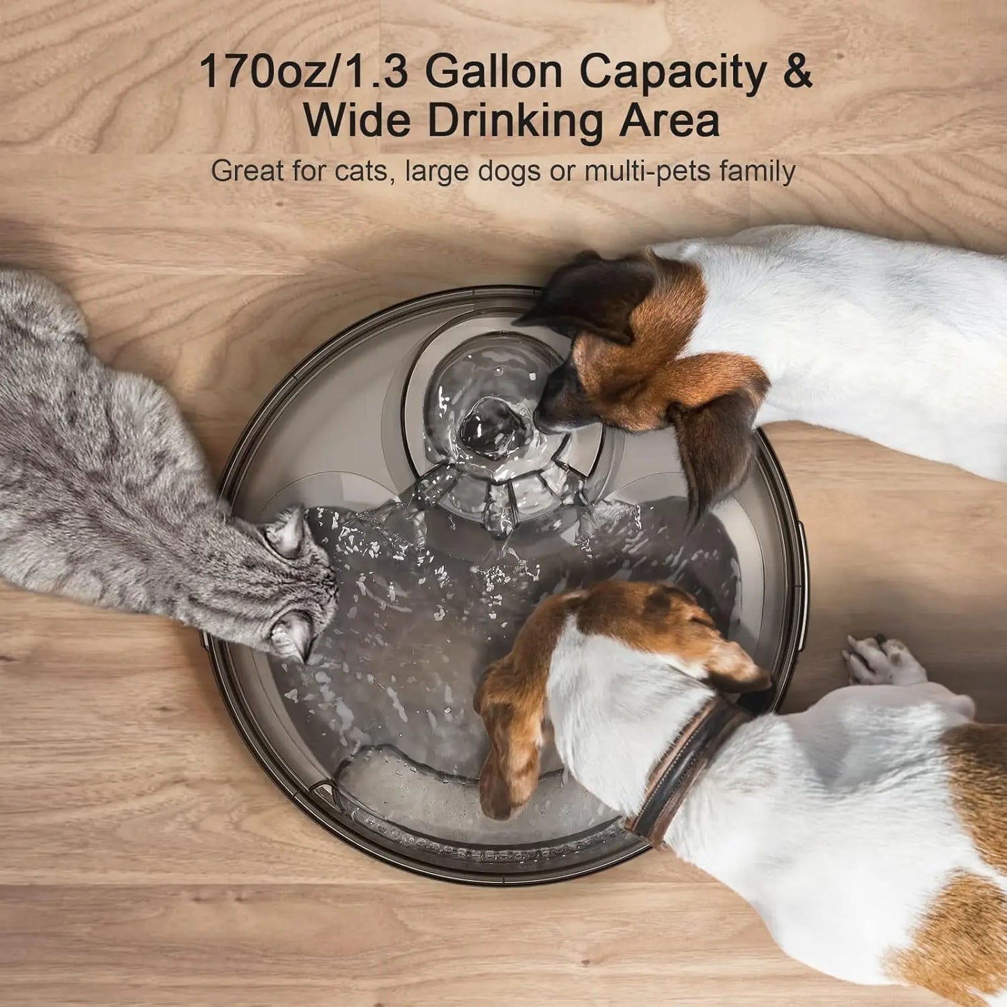 NPET DF10 Large Dog Water Fountain 5L Automatic Dispenser - Chic & Cheery Shopping