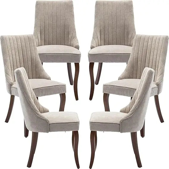 Modern Velvet Dining Chairs Set of 6 for Kitchen and Dining - Chic & Cheery Shopping