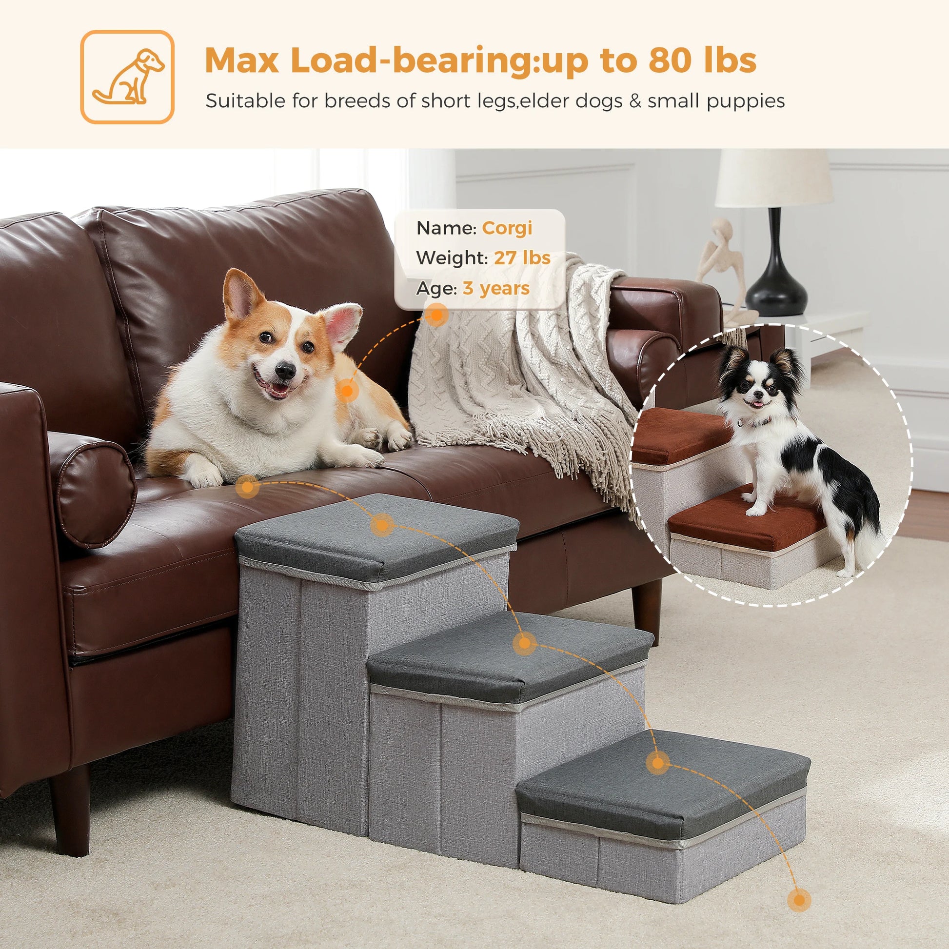 Foldable 3-Tier Dog Stairs with Storage for Small Pets - Chic & Cheery Shopping